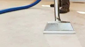 Carpet cleaning wand head gliding over a light carpet during hot-water extraction, Columbia, MO.